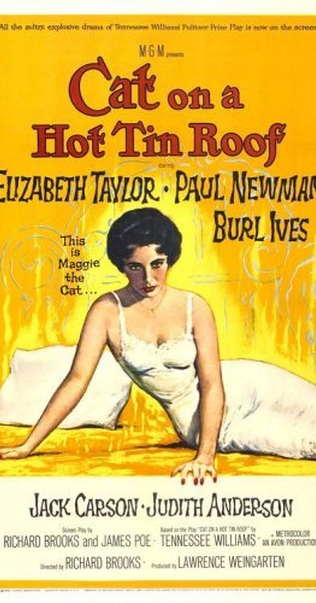 Anglophone Literature Literary Analysis Of The Cat On A Hot Tin Roof
