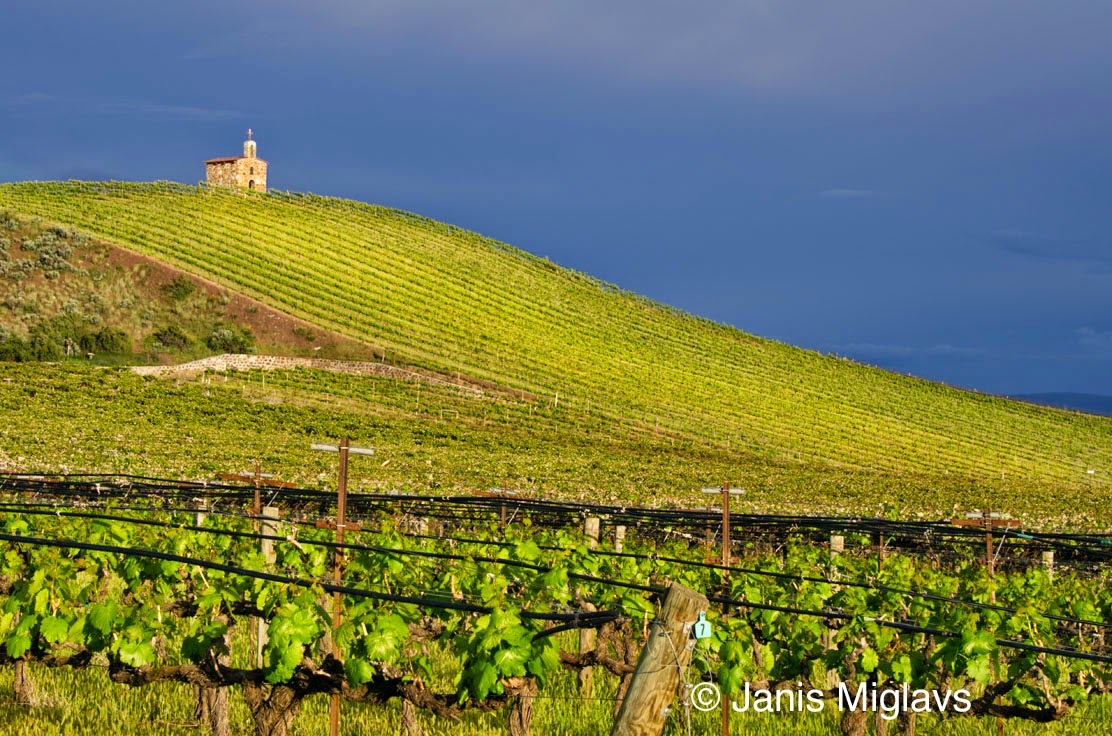 ARE WE THERE YET? Photographer Janis Miglavs World's Most Amazing
