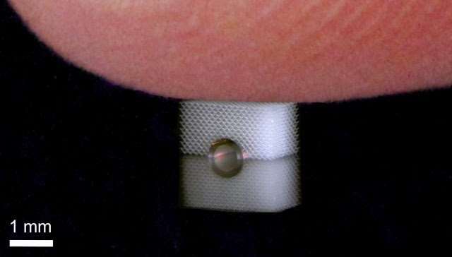 Elkészült az első kitapinthatatlanná tevő köpeny Elkészült az első kitapinthatatlanná tevő köpeny