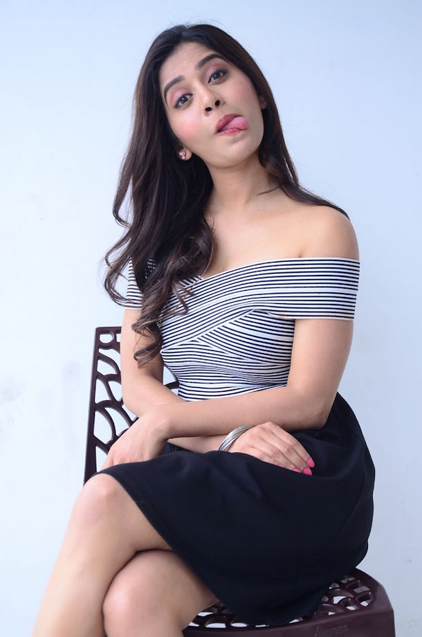 Nabha Natesh at Nannu Dochukunduvate Interview