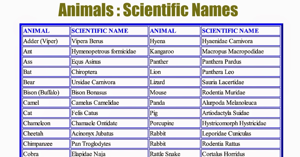 VEENA V NAIR Animals Scientific Names