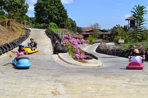 Zoocobia-Fun-Zoo,Clark-attraction,Zooc,luge