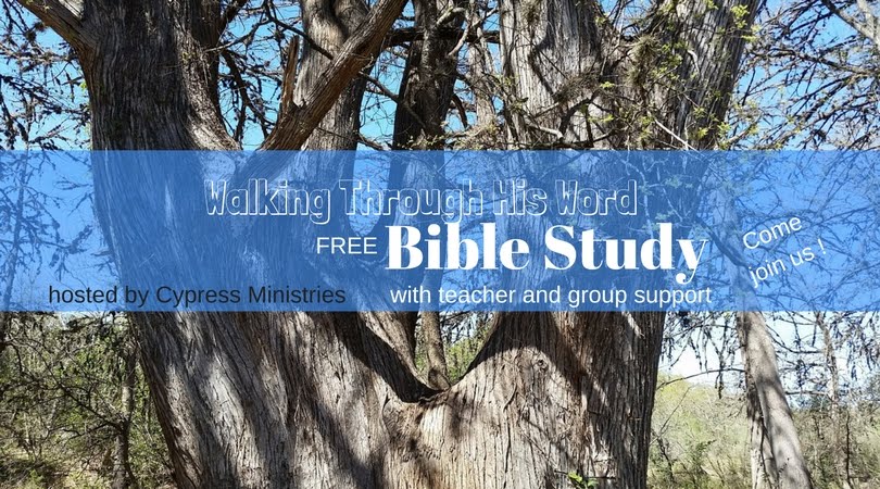 Walking through His Word Bible Study