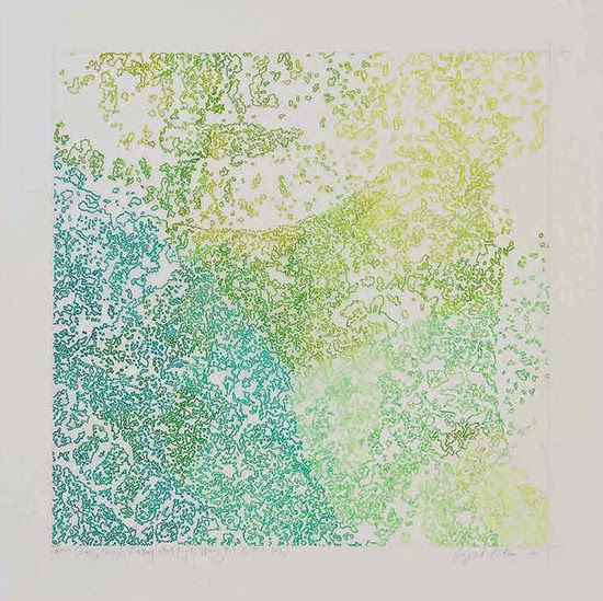 Ingrid Calame  #383 Drawing (Tracing from the Perry Street Project Wading Pool, Buffalo, NY), 2012 Color pencil on trace Mylar  30 x 30 inches