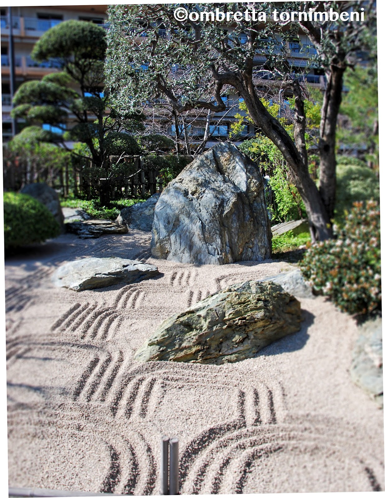 Zen Details Light Drops