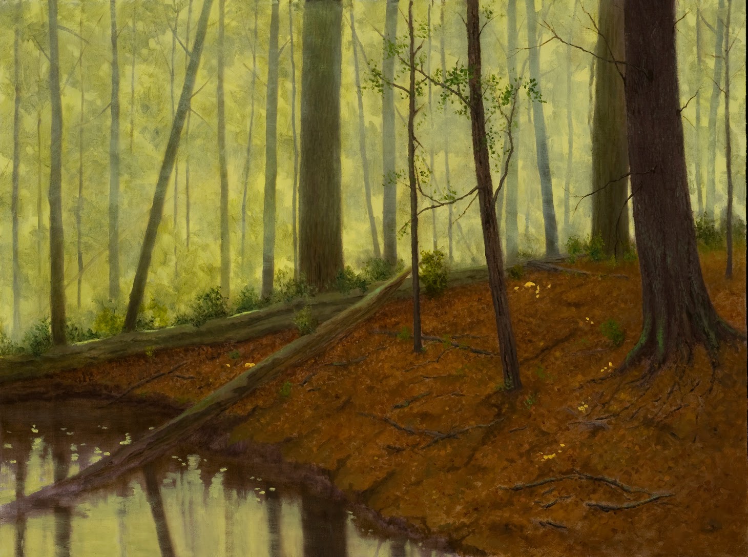 Lennox Woods Paintings