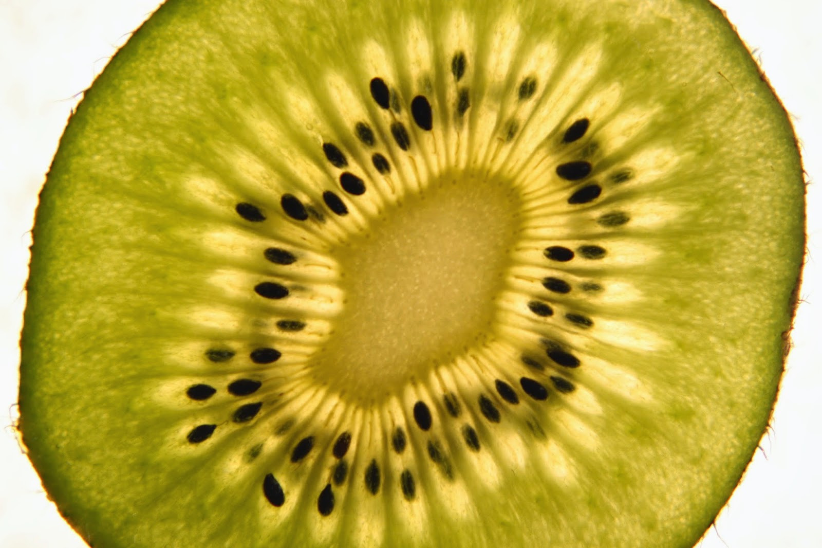 Kiwi Close-Up Photographed with 10x Close-Up Lens | Boost Your Photography