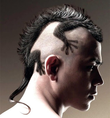 lizard-haircut.jpg