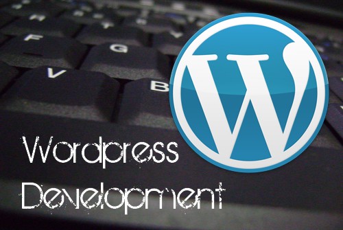 professional-wordpress-development-hsblco-solution