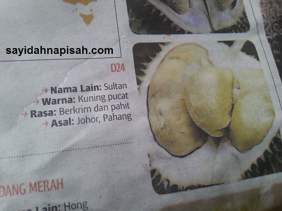 7 Jenis Durian Yang Popular Di Malaysia