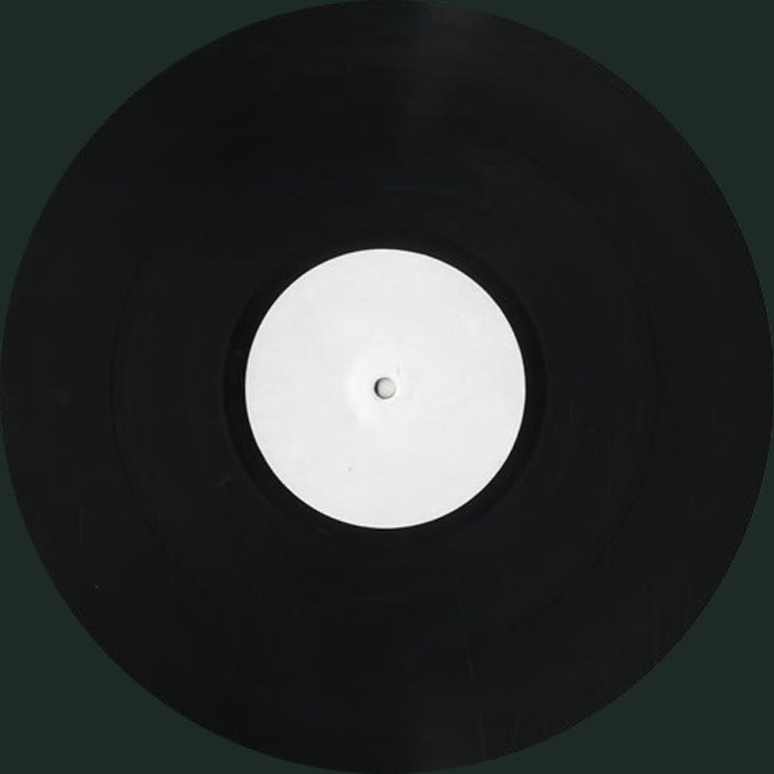 Sean Paul shake that thing remix 12"rip