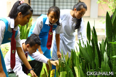 Aktiviti Sains Mengkaji Pelbagai Jenis Spesies, Populasi, Komuniti, Habitat dan Ekosistem Dalam Kawasan Sekolah