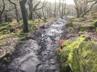 Muddy Longshaw