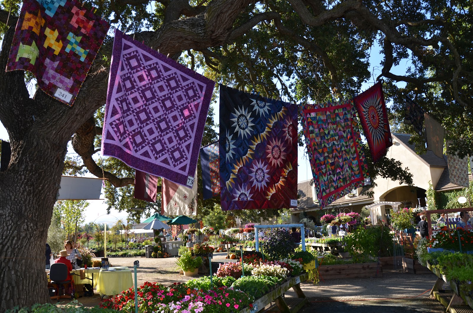 paradis express Alden Lane Nursery