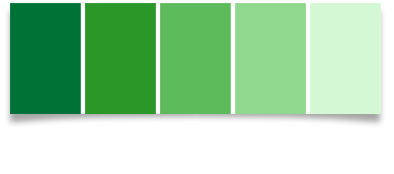 Heavenly Home Designs By Haley Shaw Color Schemes Display This Open Living Room Displays A Monochromatic Color Scheme Because It Is Decorated With Diffe Shades Of Green The Large Windows Natural Lighting