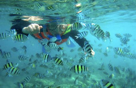  Indonesia akan mengulas objek wisata di pulau bidadari yang berada di kepulauan seribu 7 Spot Menarik di Pulau Bidadari Yang Mengagumkan