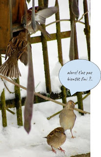 texte et image Noëlle