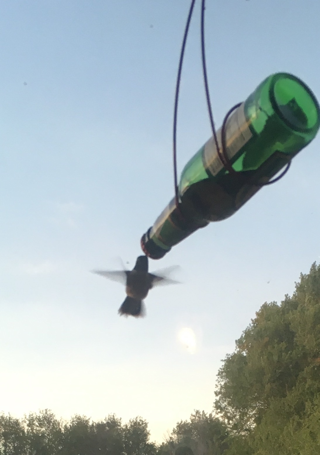 Dirt Road Renaissance DIY Simple soda bottle hummingbird feeder