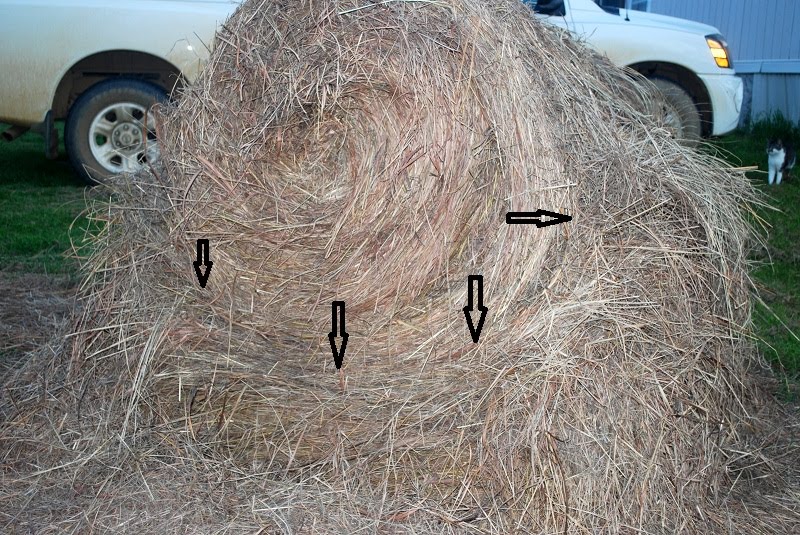 How To Feed A Round Bale with Less Waste Oak Hill Homestead