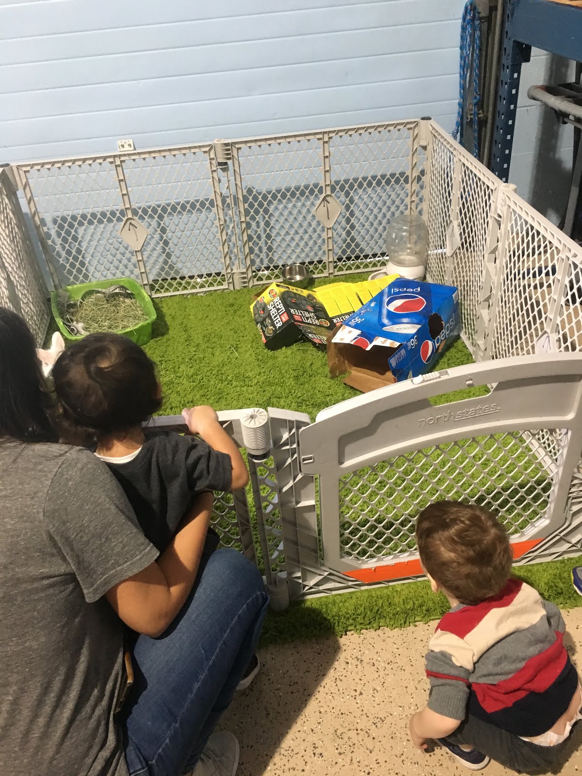 The Bunny Hutch Toddlin' Around Tidewater