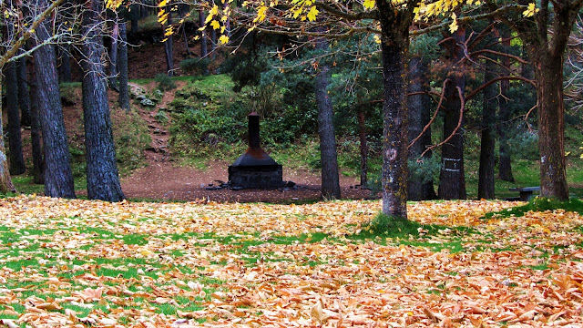 La Panera en otoño - AlfonsoyAmigos