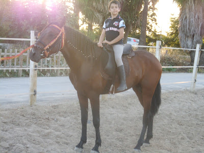 A la antigua usanza: nuestro caballo tango de torremorena. altanero.
