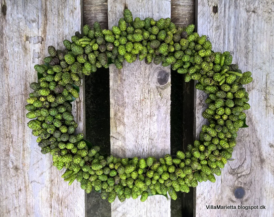 Villa Marietta Gron Krans Af Ellekogler