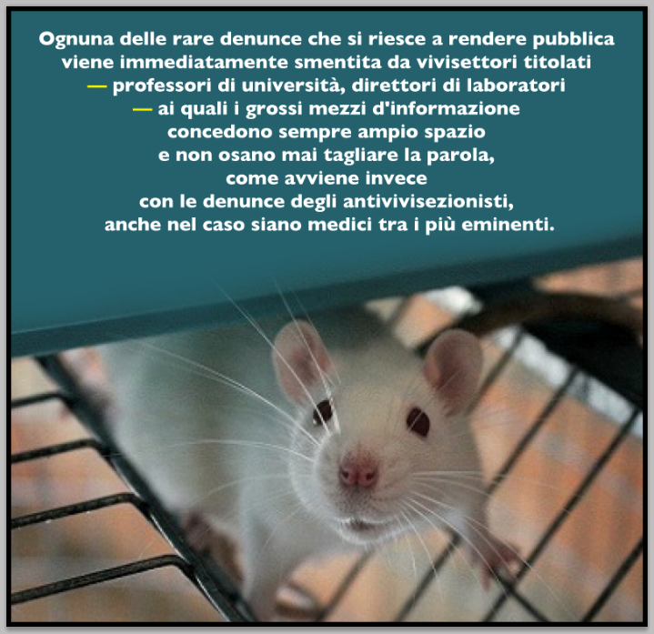Lesbiche rettifica loro micio