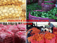 Mengenal Lebih Dekat Manfaat & Fungsi Dari Waring Sayur Mengenal Lebih Dekat Manfaat & Fungsi Dari Waring Sayur