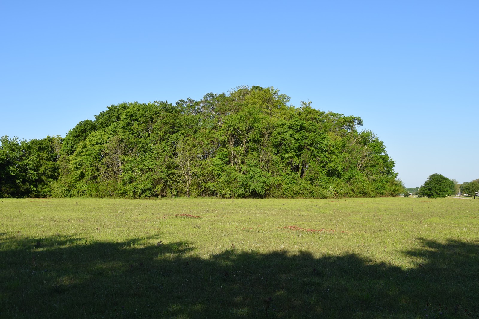Ingomar Mounds