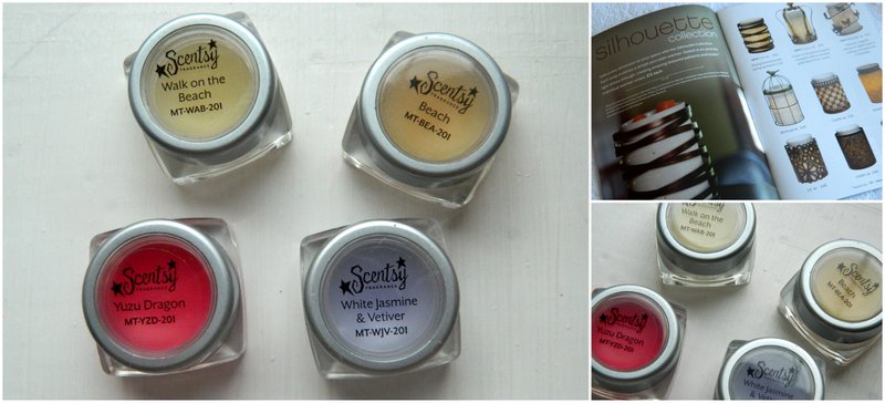 Review: Scentsy Wax Melts #2