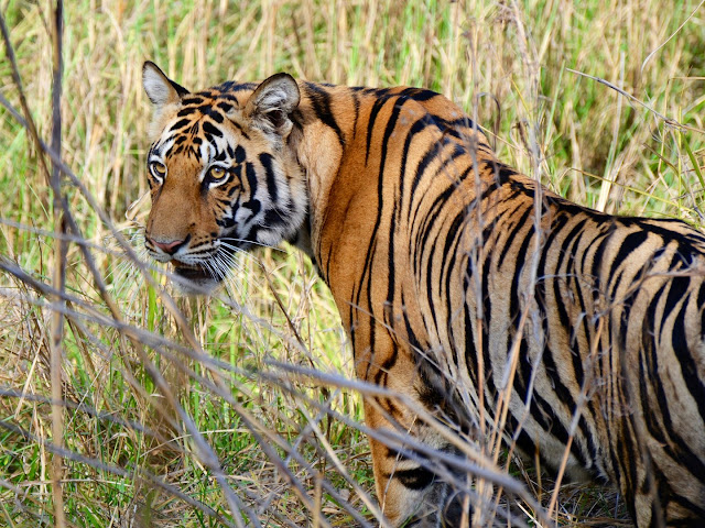 ���� ���� ������ �� ���� ������