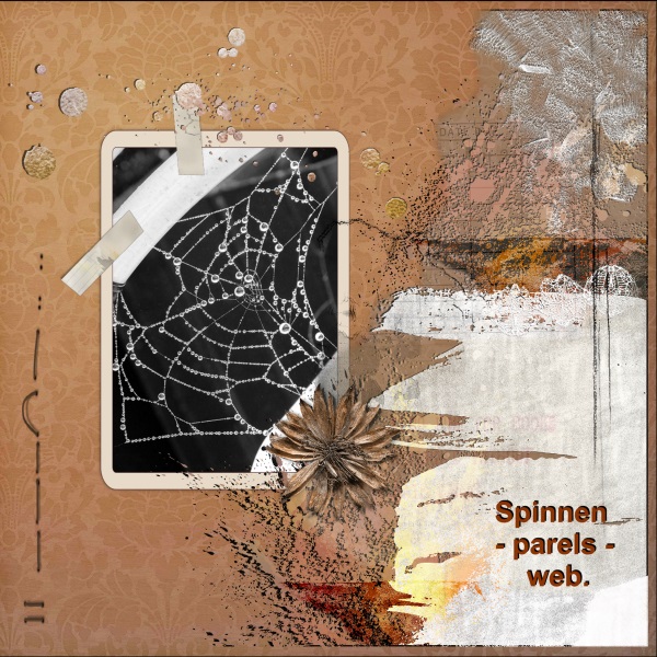 Okt. 2017 – Spinnen ( parels )  web