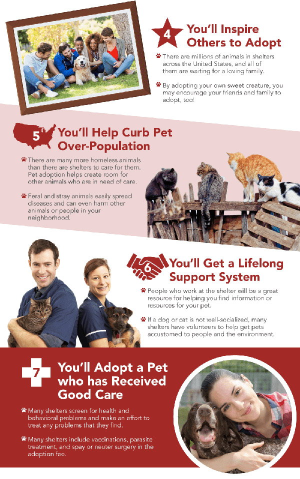 reasons why you should adopt a pet - pet adoption - family - home - kids