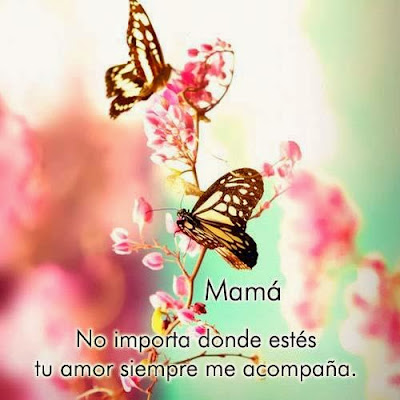 Imagenes con frases para dedicar el dia de las Madres 