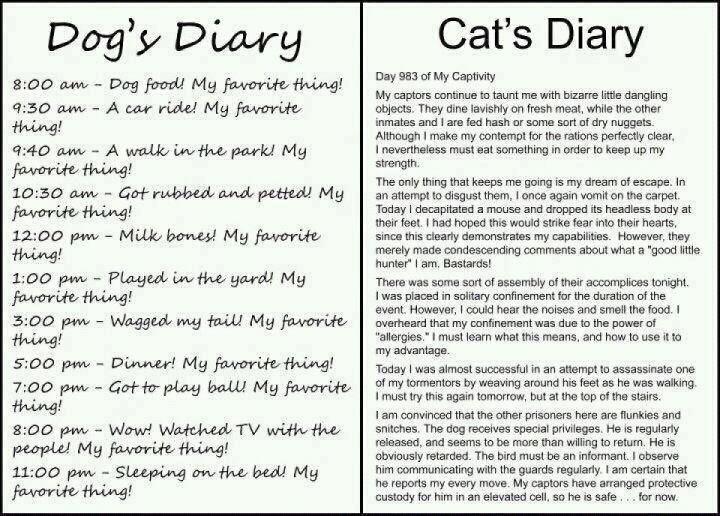 Dog_Cat+diaries.jpg