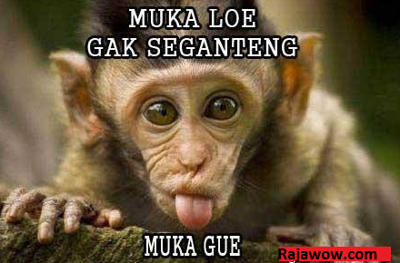 Itulah Monyet Lucu Yang Admin Kumpulkan Selama Hari Semoga Bisa Menghibur Dan Dapat Kita Manfaatkan Hikmahnya Karena Setiap Apa Yang Di Itulah Monyet Lucu Yang Admin Kumpulkan Selama Hari Semoga Bisa Menghibur Dan Dapat Kita Manfaatkan Hikmahnya Karena Setiap Apa Yang Di