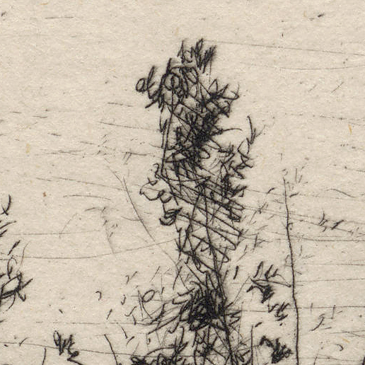 Prints and Principles: Adolphe Appian’s etching, “Marais de la ...