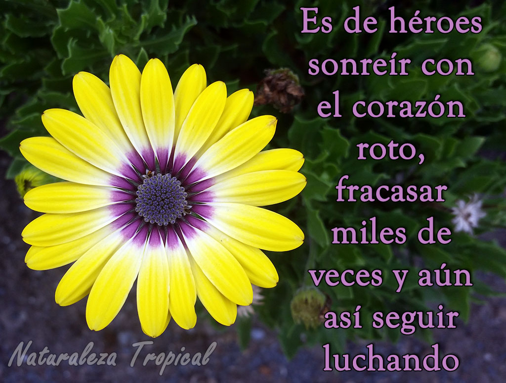 Fresco Imagenes De Naturaleza Con Frases De Amor | Mejor Casa Sobre ...