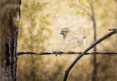 Sparrow bird painting in pastel by Wildlife artist Colette Theriault, Sudbury, Ontario, Canada