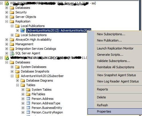 how to stop replication in sql server 2008 r2