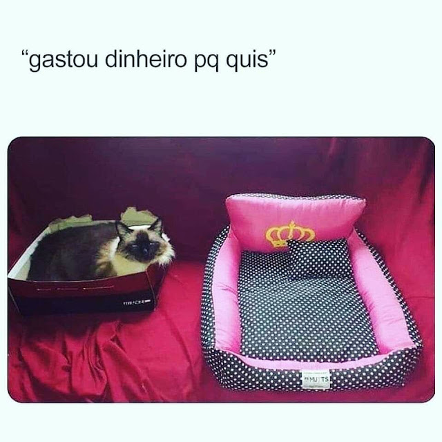 Memes divertidos Memes divertidos