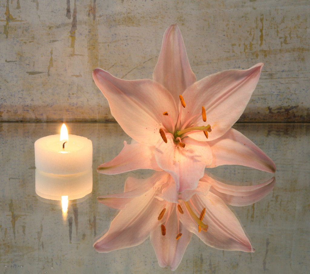 Beautiful Flower Wallpapers For You Flowers Candle Wallpaper