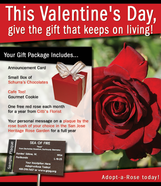 valentines day san jose the san jose valentines day san jose the san jose