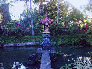Balinese Shrine In The Middle Of A Lotus Pond At Jero Batur Ringdikit North Bali