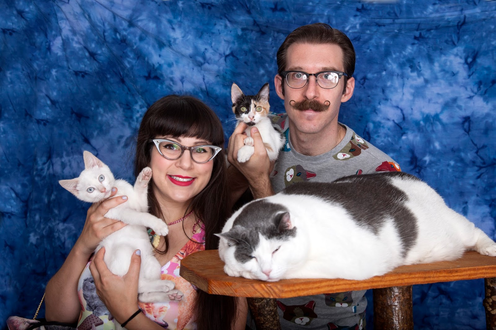 The Cat Shoppe Nashville