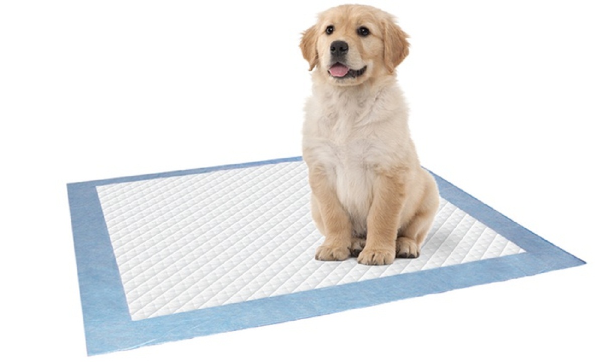 Dog Training Pads How it Work Doglopedix