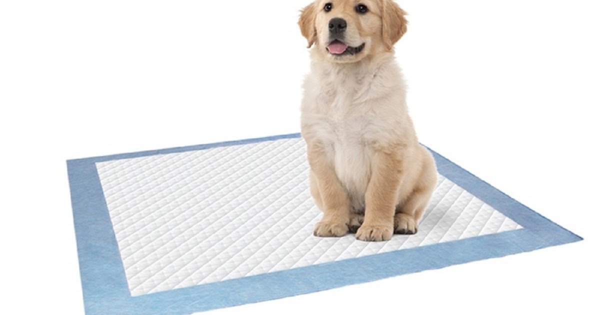 Dog Training Pads How it Work Doglopedix