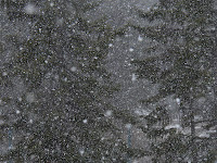snowfall in banff alberta copyright kerry dexter
