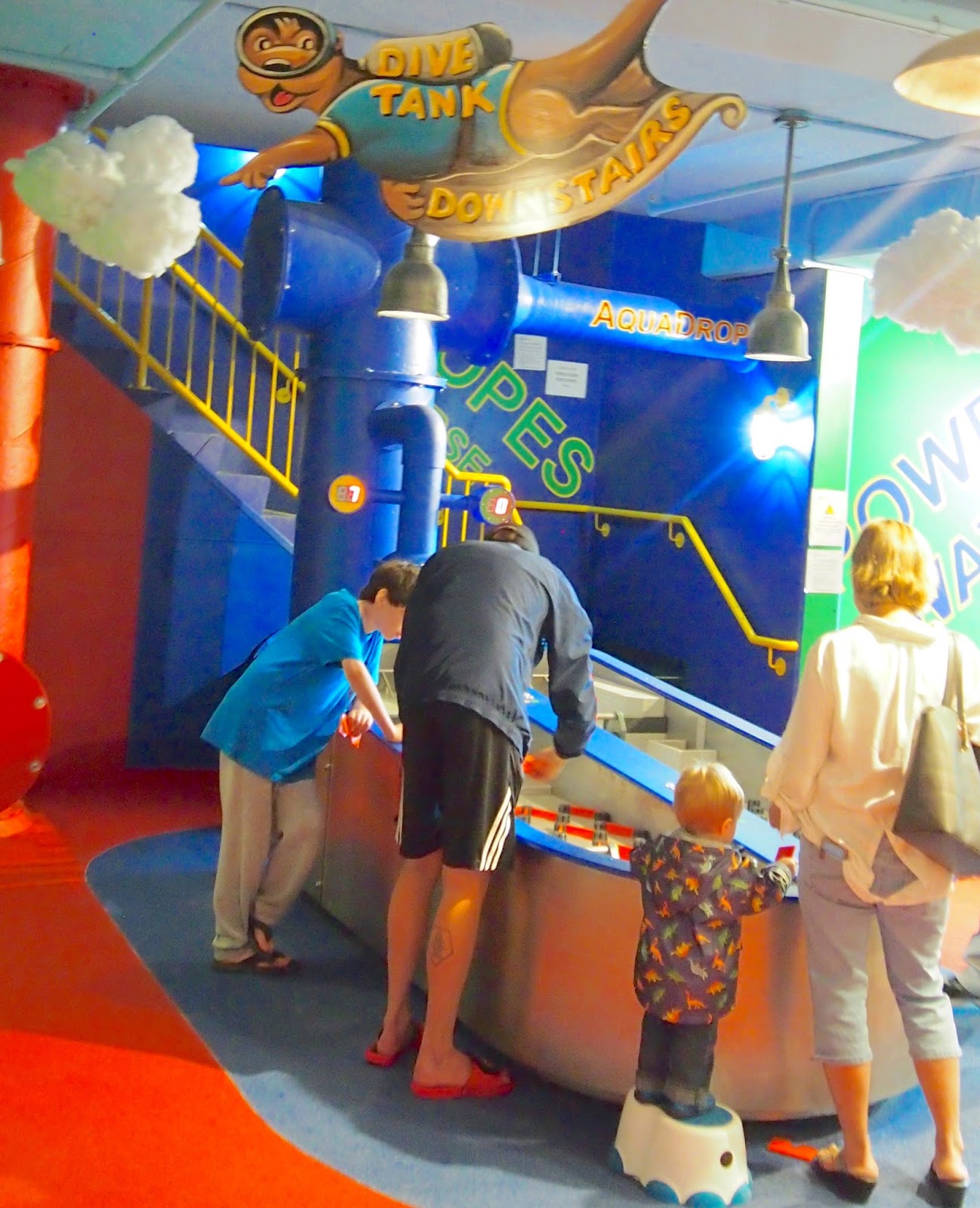 Aquatarium Otter check out their dive tank!